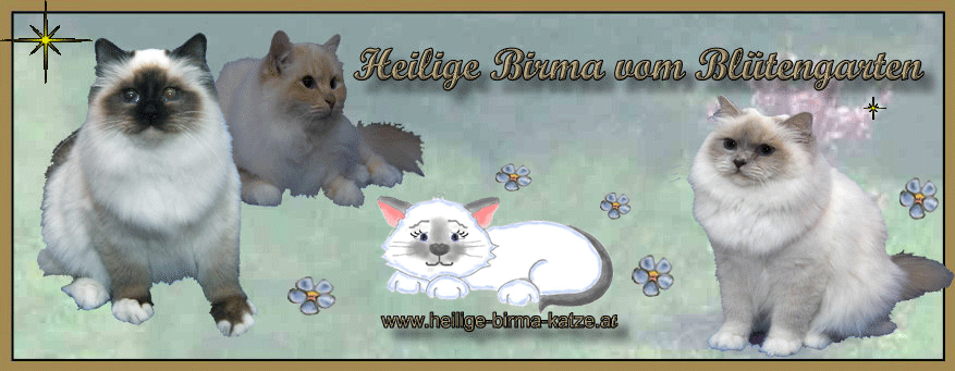 Banner vom Blütengarten