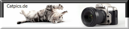 Banner Catpics