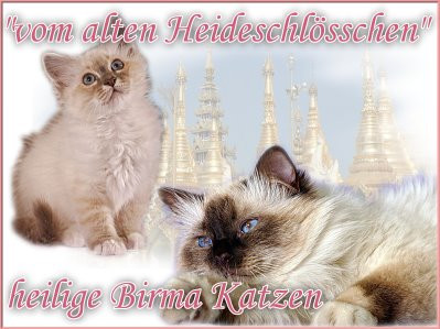 Banner vom alten Heideschlösschen